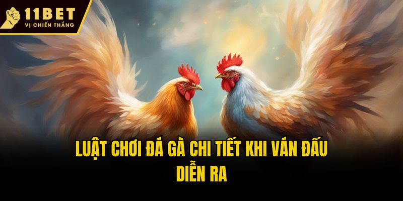 Luật chơi đá gà chi tiết khi ván đấu diễn ra